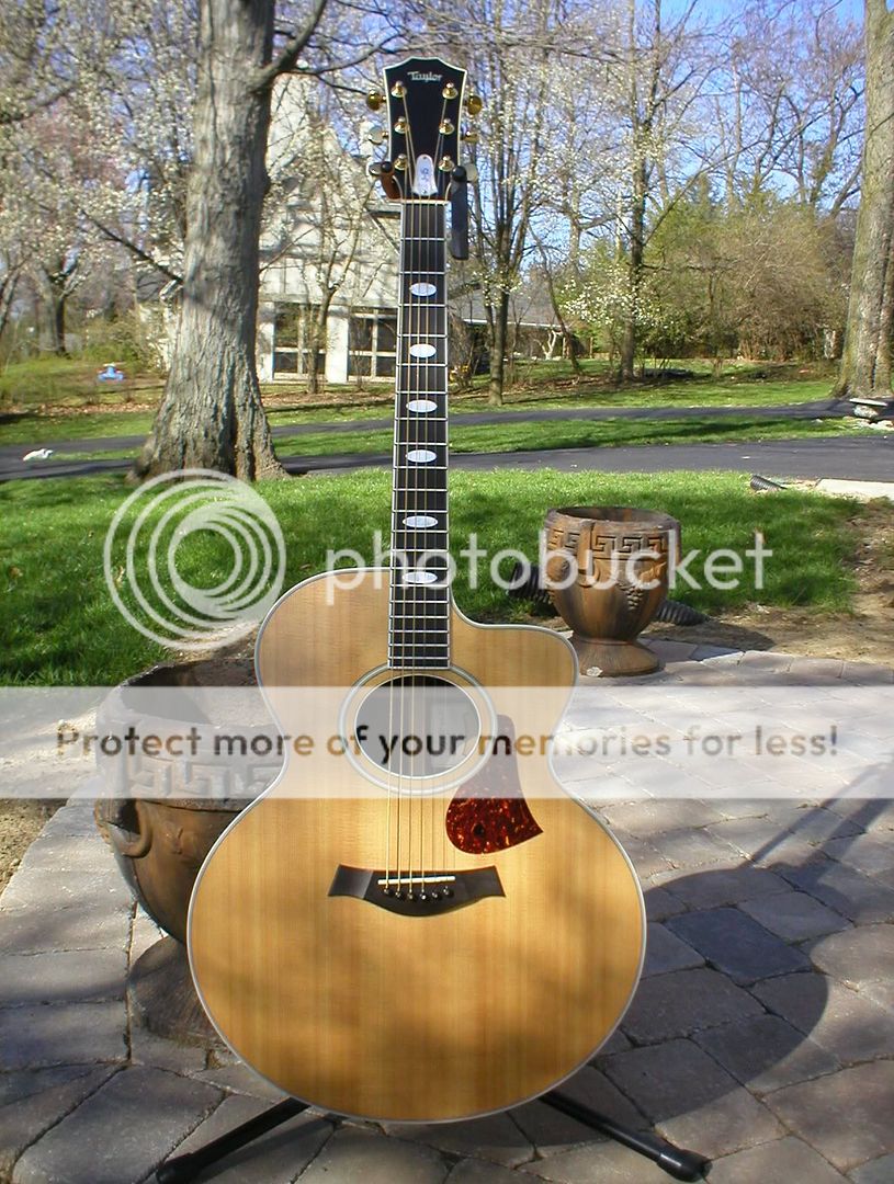 What's your favourite Taylor inlay? Page 5 The Acoustic Guitar Forum